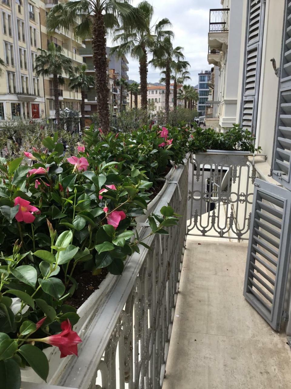 Palazzo Dei Grifoni - Luxury Suites - San Benedetto del Tronto Ngoại thất bức ảnh